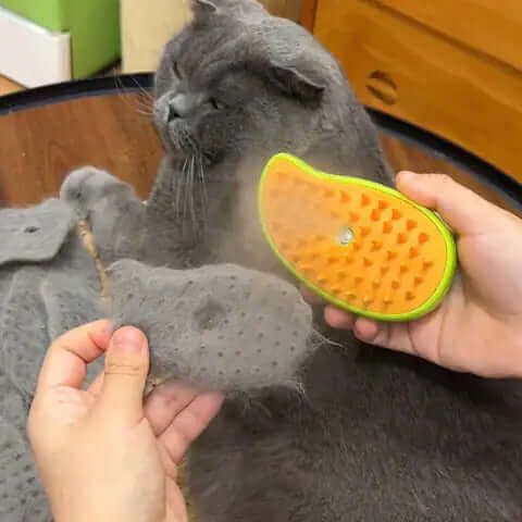Cepillo a Vapor para tu Mascota 3 en 1